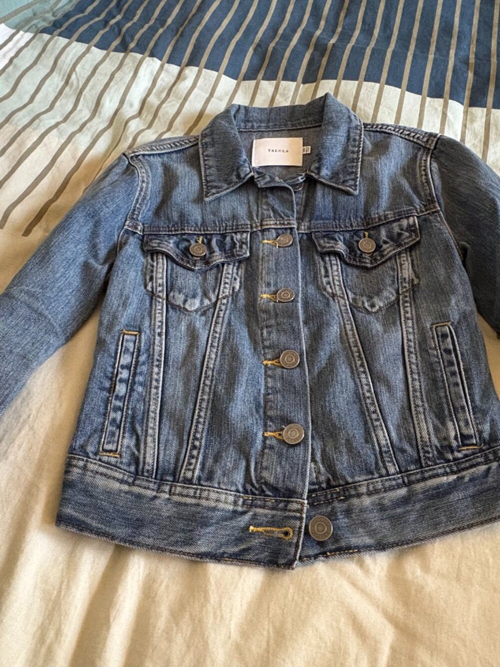 Aritzia Talula Cropped Denim Jacket